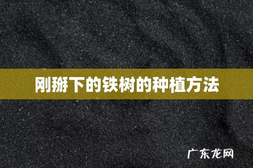 刚掰下的铁树的种植方法