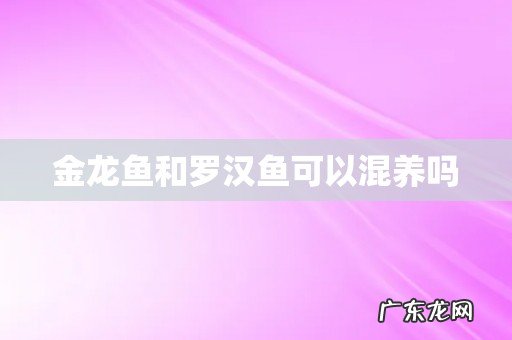 金龙鱼和罗汉鱼可以混养吗