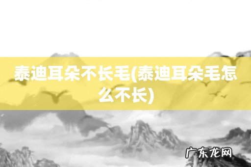 泰迪耳朵毛怎么不长 泰迪耳朵不长毛