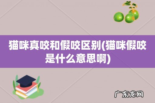 猫咪假咬是什么意思啊 猫咪真咬和假咬区别