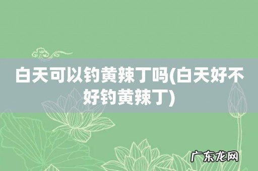 白天好不好钓黄辣丁 白天可以钓黄辣丁吗