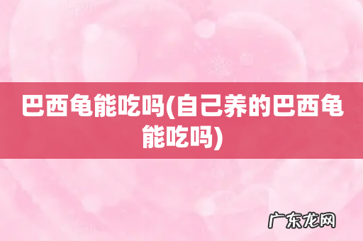 自己养的巴西龟能吃吗 巴西龟能吃吗