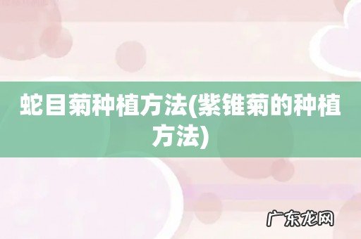 紫锥菊的种植方法 蛇目菊种植方法