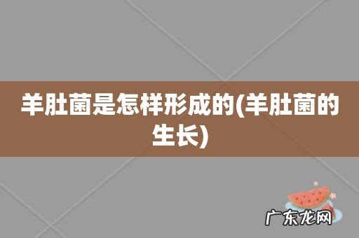 羊肚菌的生长 羊肚菌是怎样形成的