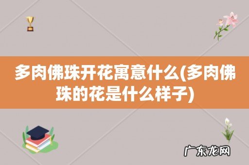 多肉佛珠的花是什么样子 多肉佛珠开花寓意什么