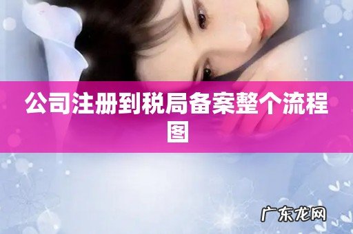 公司注册到税局备案整个流程图