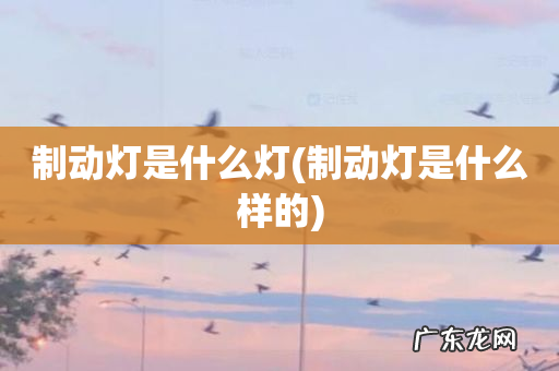 制动灯是什么样的 制动灯是什么灯