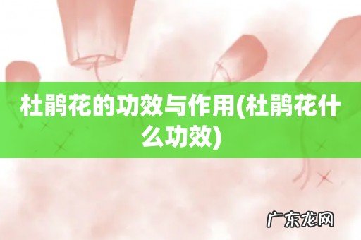 杜鹃花什么功效 杜鹃花的功效与作用