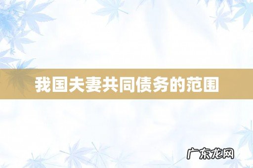 我国夫妻共同债务的范围