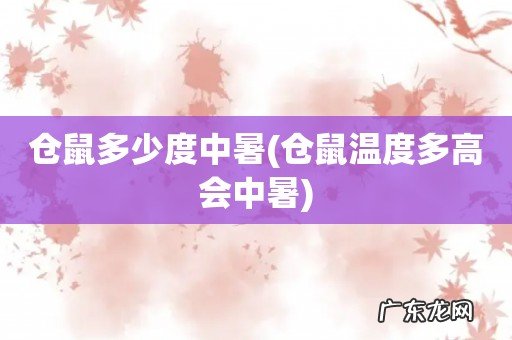仓鼠温度多高会中暑 仓鼠多少度中暑