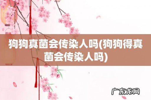 狗狗得真菌会传染人吗 狗狗真菌会传染人吗