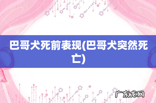 巴哥犬突然死亡 巴哥犬死前表现