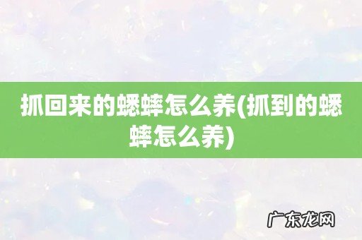 抓到的蟋蟀怎么养 抓回来的蟋蟀怎么养