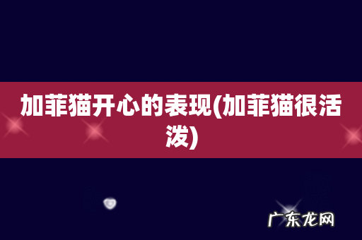 加菲猫很活泼 加菲猫开心的表现