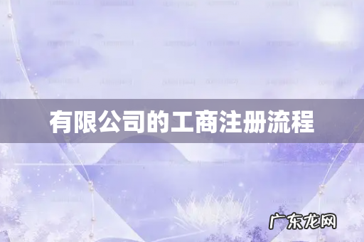 有限公司的工商注册流程