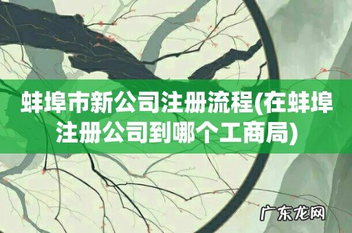 在蚌埠注册公司到哪个工商局 蚌埠市新公司注册流程