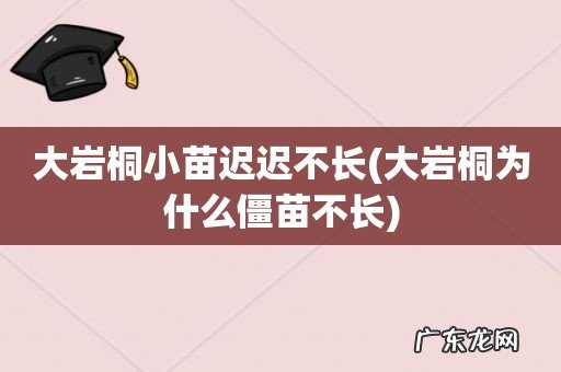 大岩桐为什么僵苗不长 大岩桐小苗迟迟不长