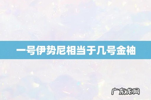 一号伊势尼相当于几号金袖