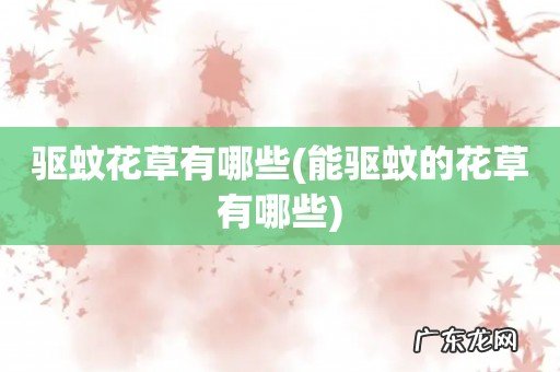 能驱蚊的花草有哪些 驱蚊花草有哪些