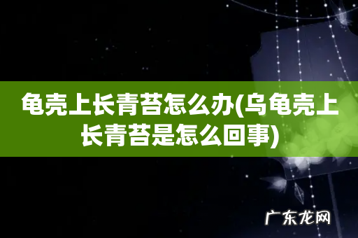 乌龟壳上长青苔是怎么回事 龟壳上长青苔怎么办