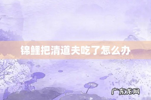 锦鲤把清道夫吃了怎么办