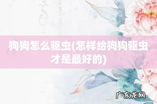 怎样给狗狗驱虫才是最好的 狗狗怎么驱虫