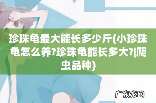 小珍珠龟怎么养?珍珠龟能长多大?|爬虫品种 珍珠龟最大能长多少斤