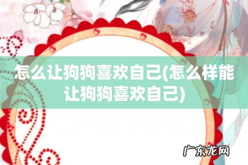 怎么样能让狗狗喜欢自己 怎么让狗狗喜欢自己