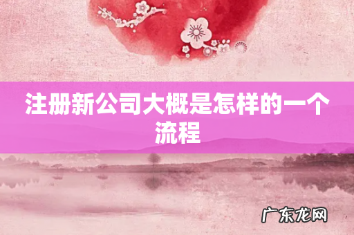 注册新公司大概是怎样的一个流程