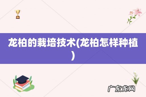 龙柏怎样种植 龙柏的栽培技术