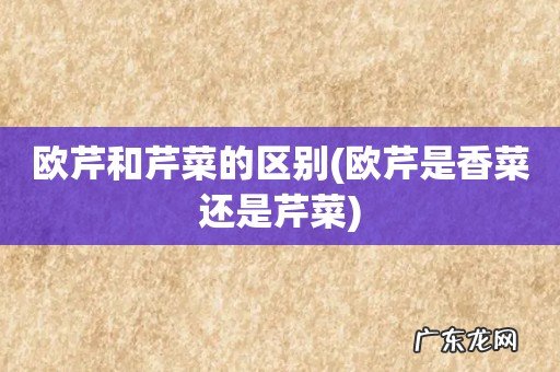 欧芹是香菜还是芹菜 欧芹和芹菜的区别