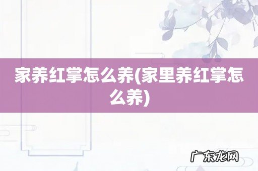 家里养红掌怎么养 家养红掌怎么养