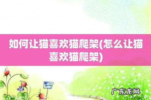 怎么让猫喜欢猫爬架 如何让猫喜欢猫爬架