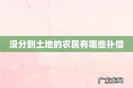 没分到土地的农民有哪些补偿