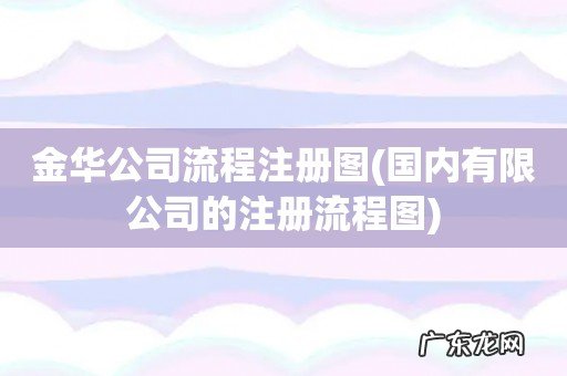 国内有限公司的注册流程图 金华公司流程注册图