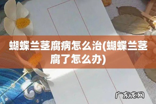 蝴蝶兰茎腐了怎么办 蝴蝶兰茎腐病怎么治