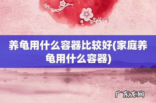 家庭养龟用什么容器 养龟用什么容器比较好