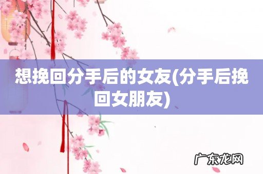 分手后挽回女朋友 想挽回分手后的女友