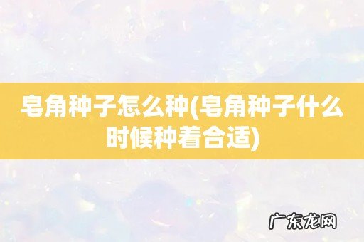 皂角种子什么时候种着合适 皂角种子怎么种