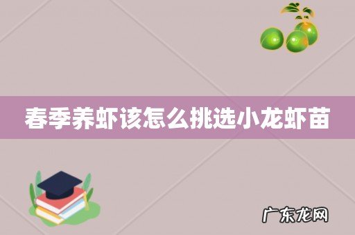 春季养虾该怎么挑选小龙虾苗