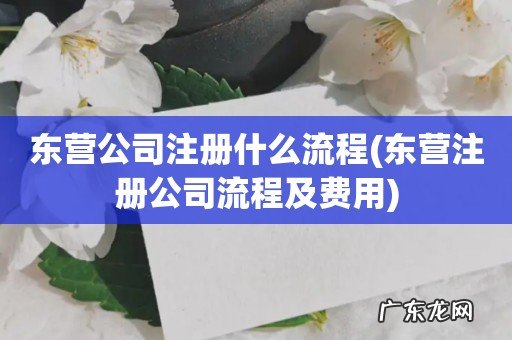 东营注册公司流程及费用 东营公司注册什么流程