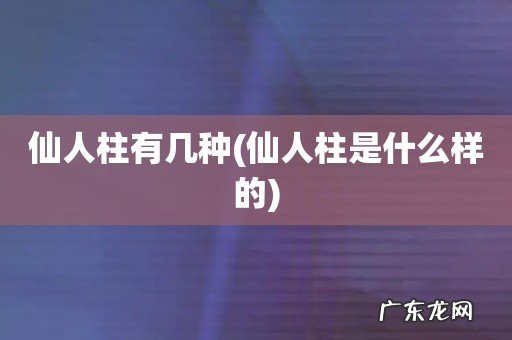 仙人柱是什么样的 仙人柱有几种