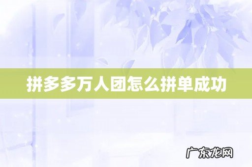 拼多多万人团怎么拼单成功