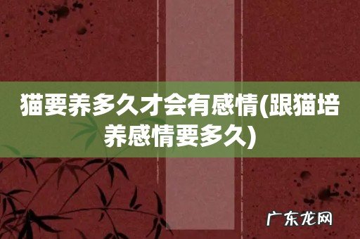 跟猫培养感情要多久 猫要养多久才会有感情