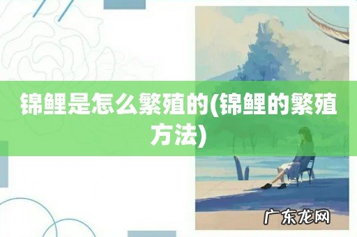 锦鲤的繁殖方法 锦鲤是怎么繁殖的