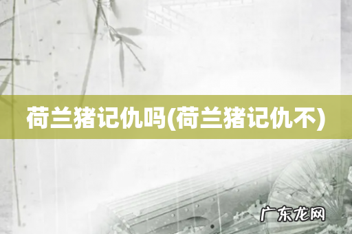 荷兰猪记仇不 荷兰猪记仇吗