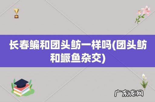 团头鲂和鳜鱼杂交 长春鳊和团头鲂一样吗