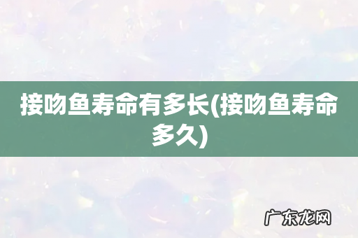 接吻鱼寿命多久 接吻鱼寿命有多长