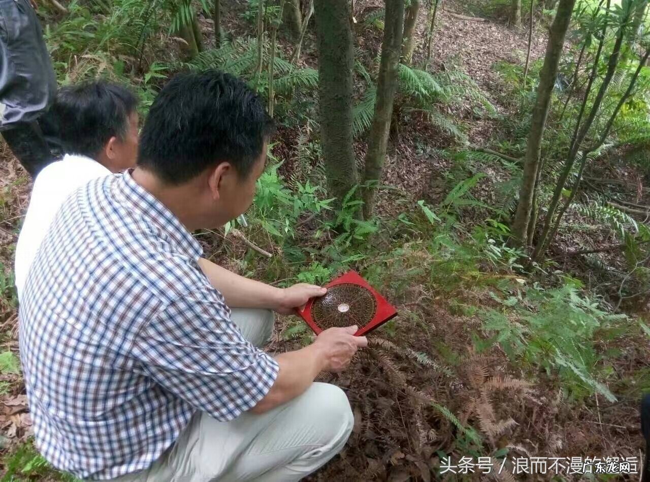 陈平水平如何 陈老师讲风水:实地讲解