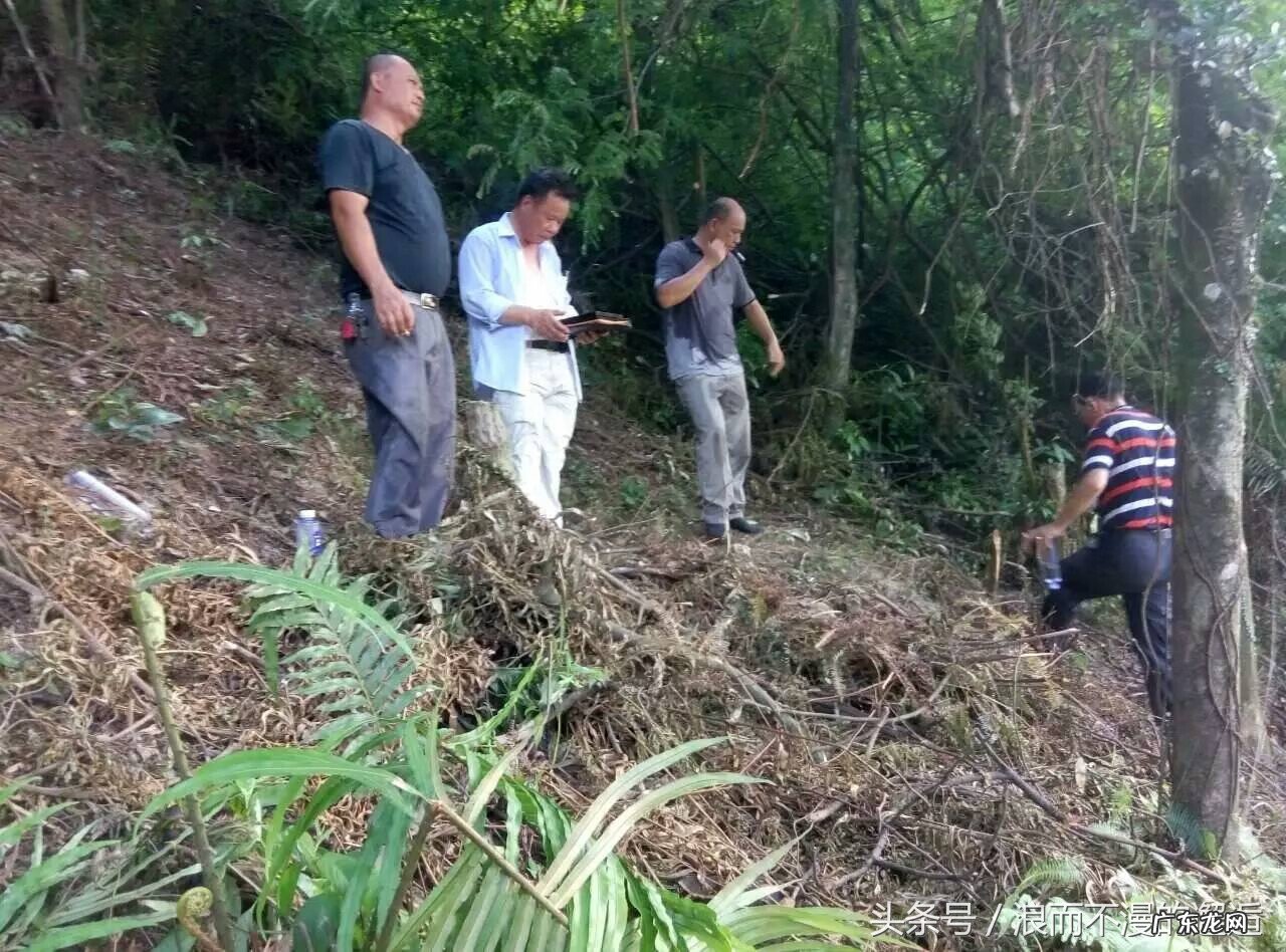 陈平水平如何 陈老师讲风水:实地讲解